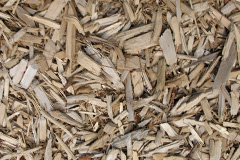 biomass boilers Tal Y Waenydd